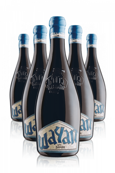 Baladin Wayan Saison Cassa da 6 bottiglie x 75cl